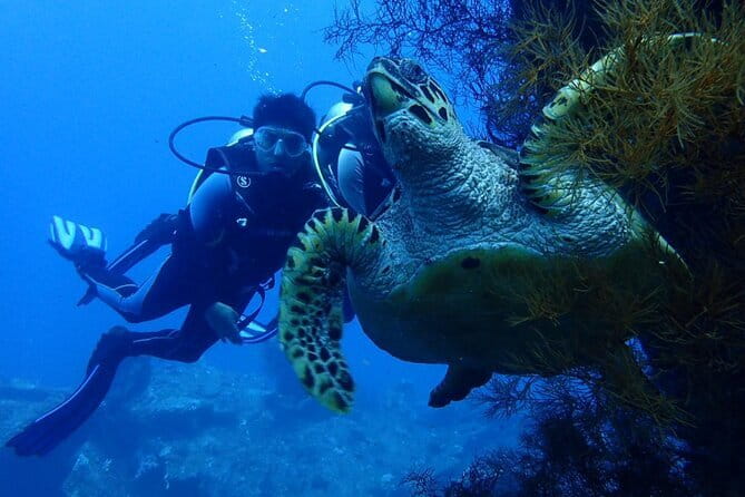 Nusa Dua Marine Jet Ski and Parasailing Adventure with Hotel Pick up - Tips so your 45 minutes feel easy, not stressful