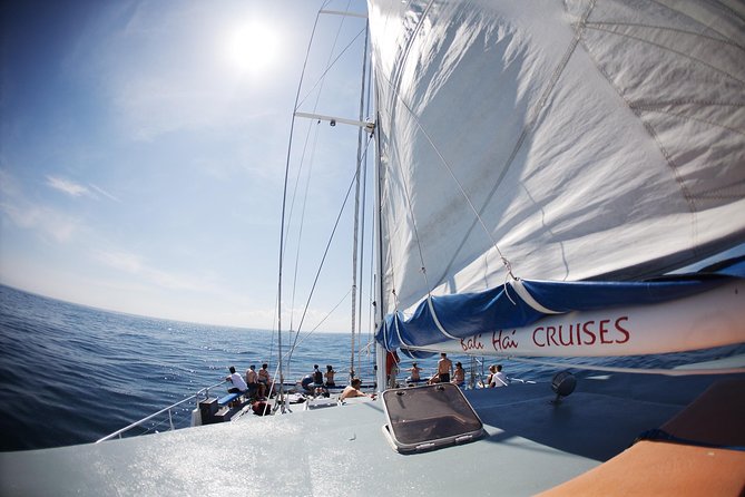 Nusa Lembongan: Island Discovery Cruise - Timing and Where You Start: Mushroom Bay Is the Anchor Point