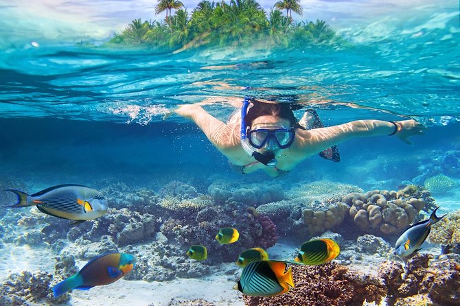 Nusa Lembongan Island: Snorkeling & Mangrove Forest Day Tour - Key things to know before you go