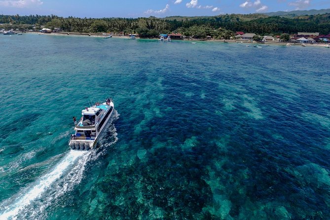 Nusa Lembongan Island: Snorkeling & Mangrove Forest Day Tour - Mangrove Forest Tour by Boat: A Calm Contrast on the Same Day