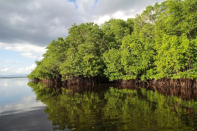 Nusa Lembongan Island: Snorkeling & Mangrove Forest Day Tour - The Coral Reef Snorkeling Stop: What You’ll Actually Do