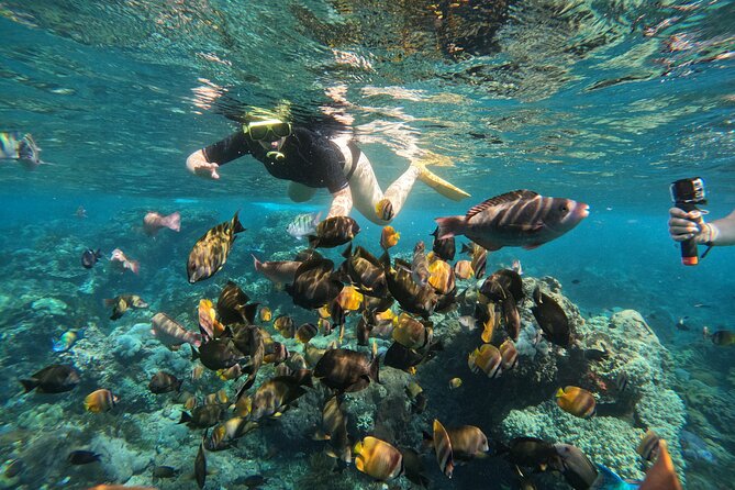 Nusa-Penida customize Tour - All inclusive - Value for Money: What You’re Really Paying For