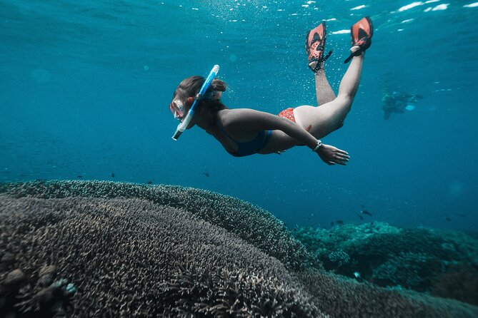 Nusa Penida day trip: boat, 4 snorkeling, Manta rays & Land tour - Mangrove Point and SD Point: reef snorkeling with a drift and a coral garden
