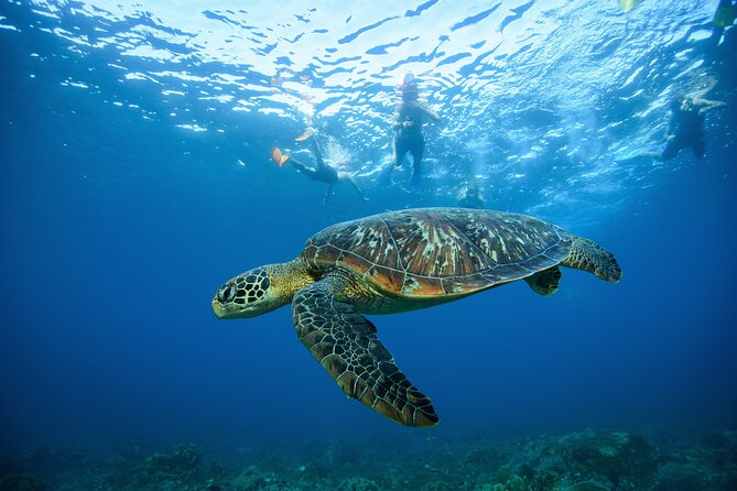 Nusa Penida day trip: boat, 4 snorkeling, Manta rays & Land tour - Price and value: what your $78 buys you (and what it doesn’t)