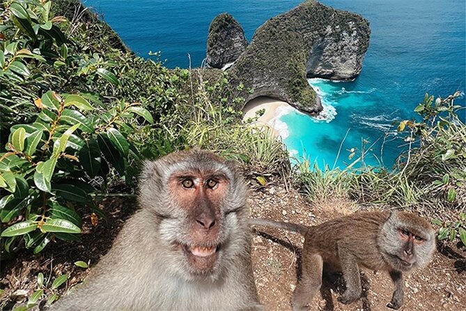 Nusa Penida day trip: boat, 4 snorkeling, Manta rays & Land tour - Who this Nusa Penida trip fits best