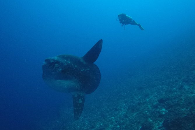 Nusa Penida Day Trip for 3 dives - Gear, comfort, and what to pack so the day doesn’t bite