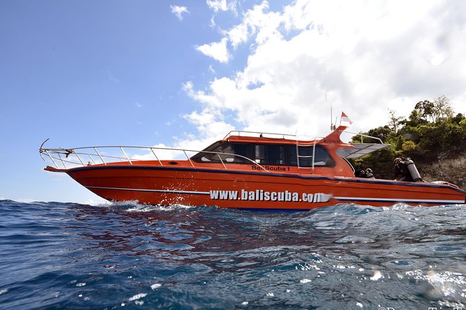 Nusa Penida Day Trip for 3 dives - Price and what you’re actually getting for $190