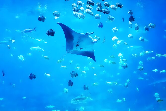 Nusa Penida Island Beach Tour With Snorkeling - Departure From Bali Island - Why This Nusa Penida Day Trip Works From Seminyak