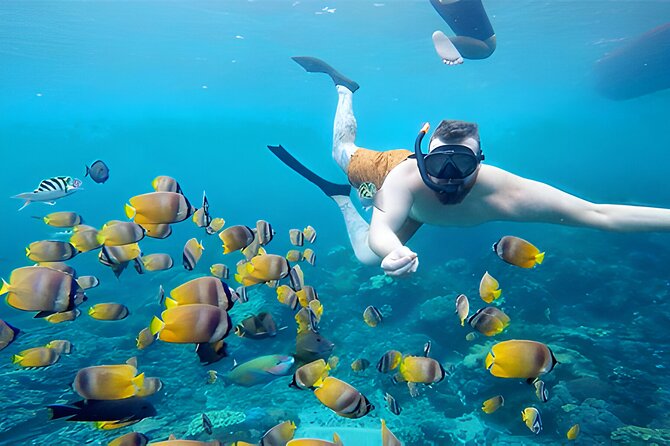 Nusa Penida Island Beach Tour With Snorkeling - Departure From Bali Island - The Snorkeling Plan: Gamat Bay, Manta Bay, Crystal Bay