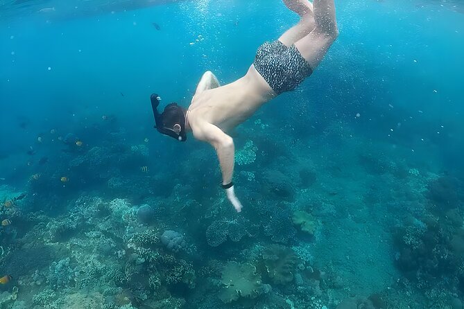 Nusa Penida Island Beach Tour With Snorkeling - Departure From Bali Island - Lunch and Refreshments: Simple Fuel for a Long Day