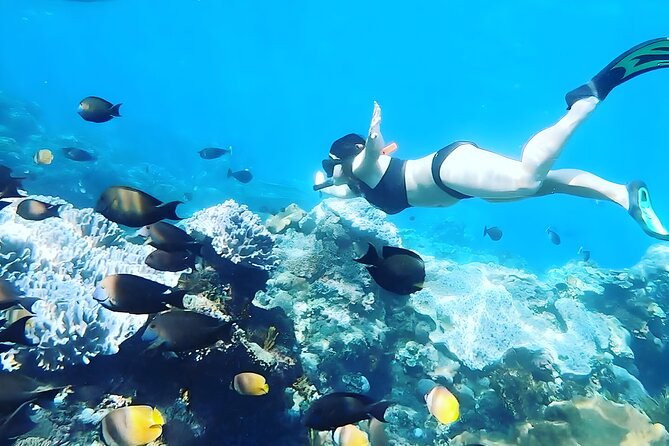 Nusa Penida Island Beach Tour With Snorkeling - Departure From Bali Island - What’s Included (and What You’ll Still Want to Budget For)