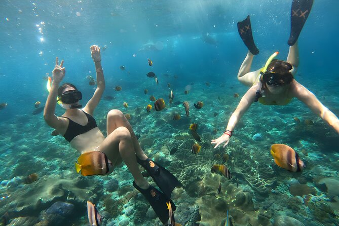 Nusa Penida Island Beach Tours with Snorkeling From Bali - Price and what you actually get for $137.75