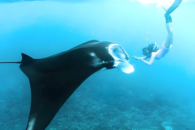 Nusa Penida Island Beach Tours with Snorkeling From Bali - How the day runs: pickup, the speedboat ride, and island timing