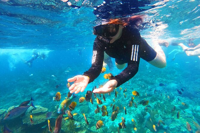 Nusa Penida Island Tour Package With Snorkeling - Price and value: is $100 a fair deal?