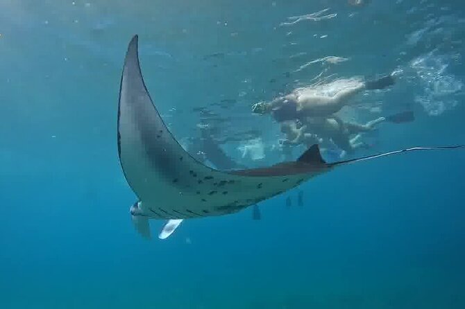 Nusa Penida Land Tour and 4 Points Snorkeling with Manta - Key things to know before you go