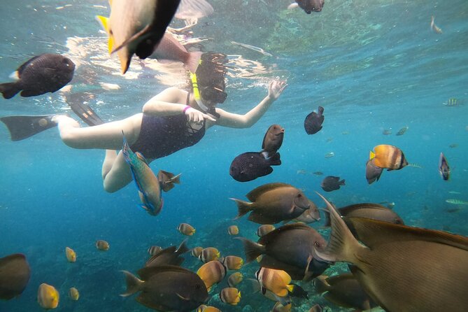 Nusa Penida Land Tour and 4 Points Snorkeling with Manta - Price and Value at $58: What You’re Actually Getting