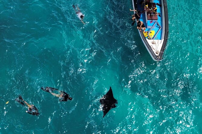 Nusa Penida Private Snorkeling and West Tour Start from Bali - Key Highlights I’d Circle First