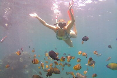 Nusa Penida Private Snorkeling Tour with West Island Trip - Kelingking Beach viewpoints: the T-Rex angle