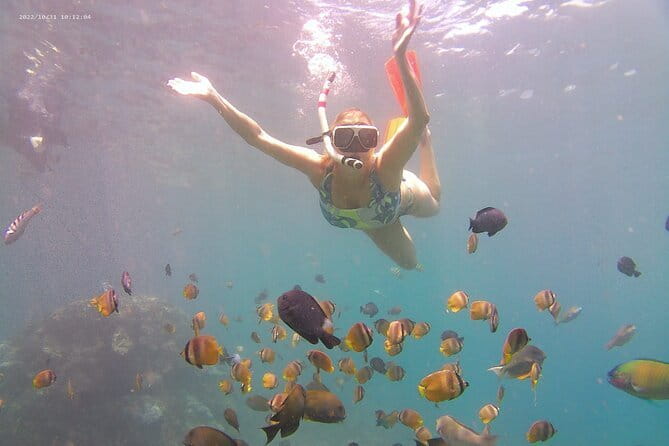 Nusa Penida Private Snorkeling Tour with West Island Trip - Kelingking Beach viewpoints: the T-Rex angle