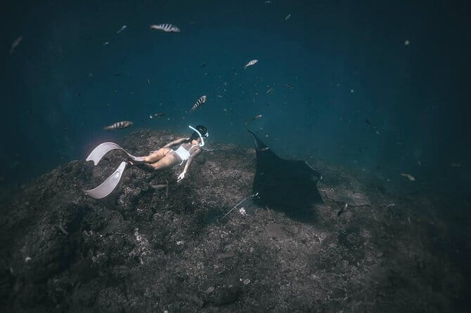 Nusa Penida : Snorkeling Trip Manta Point, Gamat Bay and Wall Bay - Stop 2: Gamat Bay for coral and fish watching