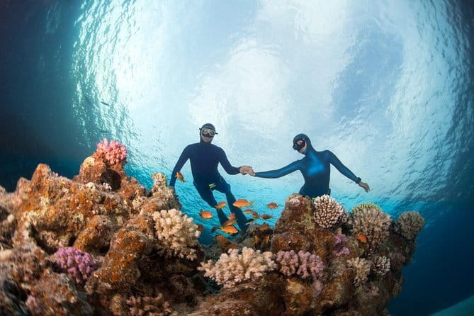 Nusa Penida : Snorkeling Trip Manta Point, Gamat Bay and Wall Bay - Stop 3: Wall Bay, coral formations, and possible GT Point reroute