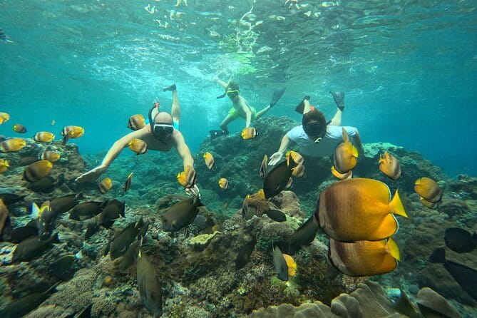 Nusa Penida : Snorkeling Trip Manta Point, Gamat Bay and Wall Bay - Getting to Toyapakeh and meeting at SALTY PENIDA SNORKELING