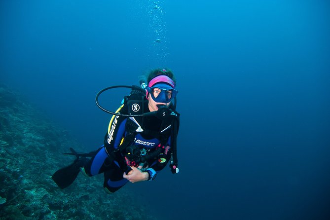 Nusa Penida Three Dives Trip for Certified Divers - Underwater session plan: Manta Point first, East Penida second, then lunch and a third stop