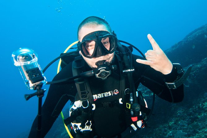 Nusa Penida Three Dives Trip for Certified Divers - Price and timing: what $160 buys you in real time