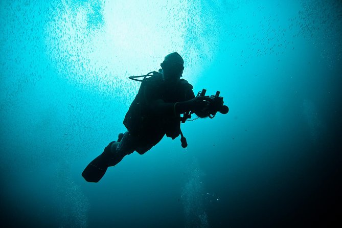 Nusa Penida Two Dives Trip for Certified Divers - Key things that make this outing worth your time