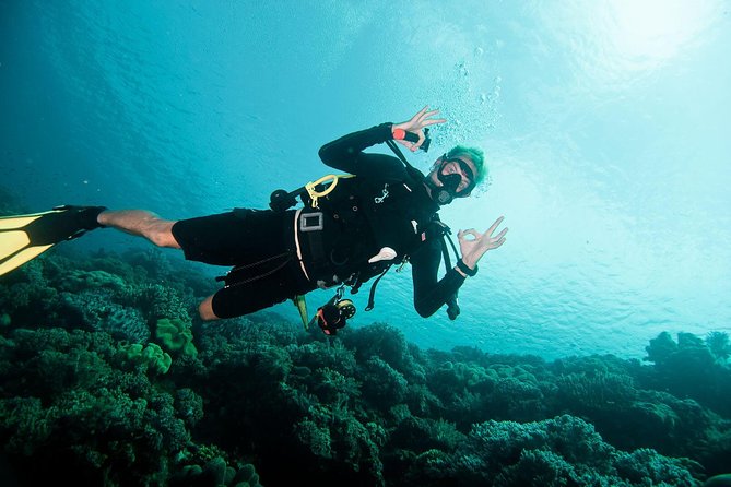 Nusa Penida Two Dives Trip for Certified Divers - How the 5-hour format keeps your day moving