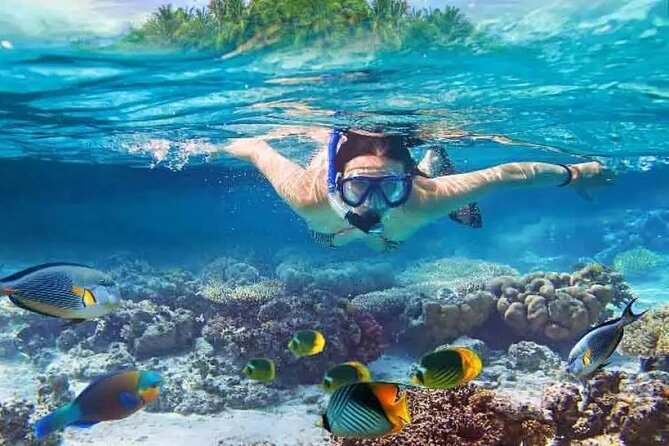 Nusa Penida West trip with snorkeling at 3 spot with Free Meals - Key Highlights You’ll Feel Immediately