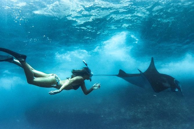 Nusa Penida West trip with snorkeling at 3 spot with Free Meals - Crystal Bay Focus and the Manta-Ray Second Chance