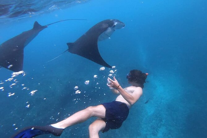 One Day Snorkeling Trip & West Tour Nusa Penida by Penidago - Boat timing and what it means for your comfort