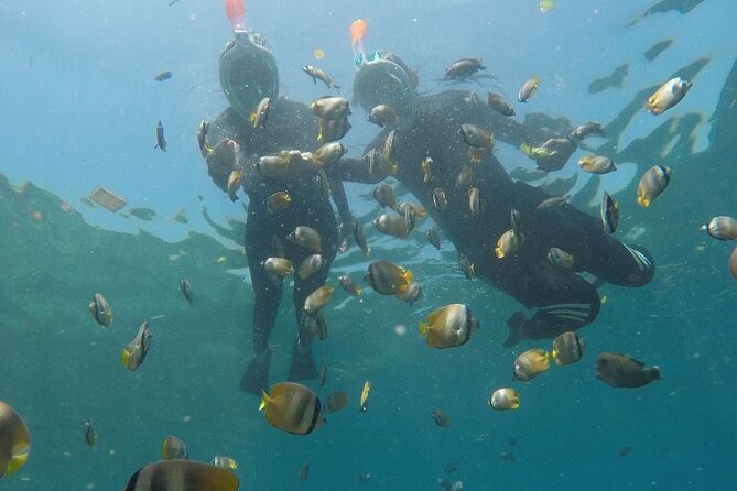 One Day Snorkeling Trip & West Tour Nusa Penida by Penidago - Kelingking Beach at 13:30: plan for photos, not long hangs