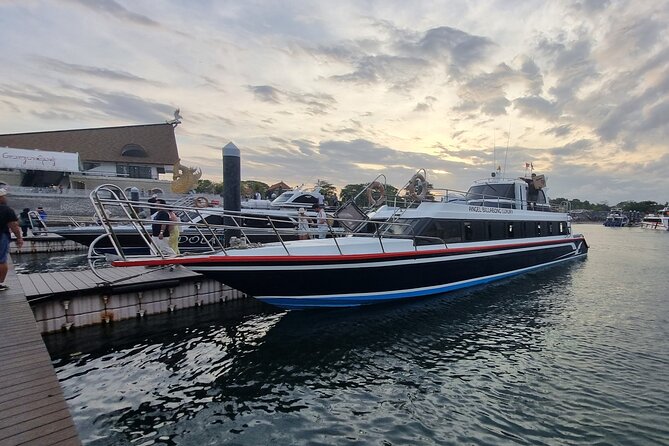 One-way Ticket Fast Boat from Sanur Bali or Nusa Penida - Sanur Harbor to Banjar Nyuh: the 45-minute one-way rhythm