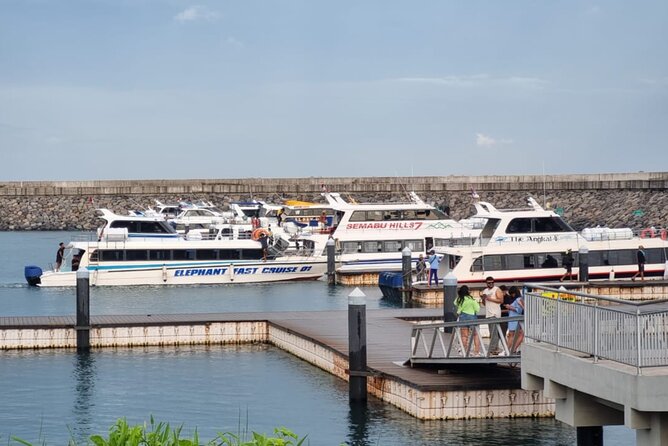 One-way Ticket Fast Boat from Sanur Bali or Nusa Penida - Booking and confirmation: keep it simple and stay flexible