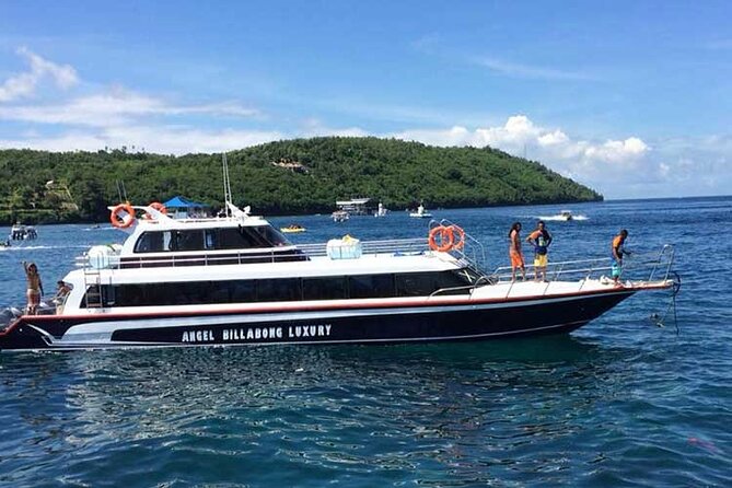 One-way Ticket Fast Boat from Sanur Bali or Nusa Penida - Angel Billabong vs El Rey: how to choose the right operator