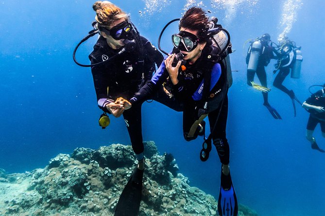 Open Water Course in Nusa Lembongan - Get Certified on remote island (next Bali) - Who should book this, and who should think twice