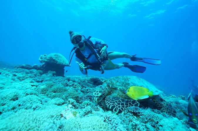 PADI Open water Course in Lembongan - Get certified & dive anywhere in the world - Who Should Book This Course in Lembongan