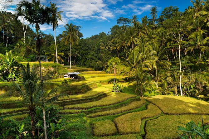 Private 4-Day Tours - Best Bali Tours Package - Best of Bali Highlights - Why this 4-day Bali route makes sense from Kuta