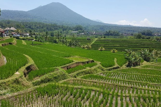 Private 4-Day Tours - Best Bali Tours Package - Best of Bali Highlights - Day 3: Lempuyang’s Heaven Gate, Tirta Gangga, quiet beaches, and Tenganan Ancient Village