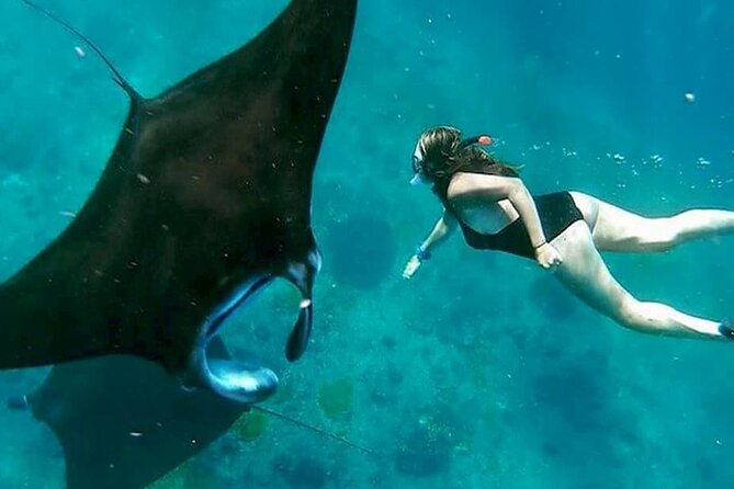 Private All Inclusive Nusa Penida Snorkeling and Tour - Key things that make this Nusa Penida day worth your time