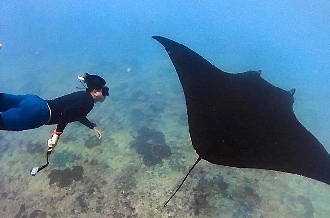 Private All Inclusive Nusa Penida Snorkeling and Tour - Transportation and private comfort: car type, pacing, and control
