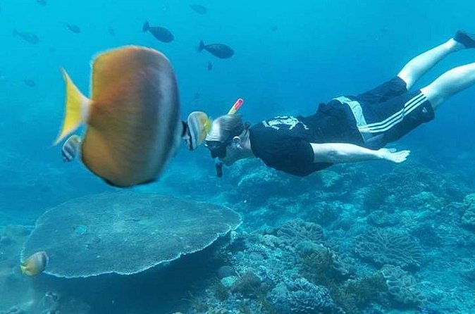 Private All Inclusive Nusa Penida Snorkeling and Tour - What’s included (and what you should double-check before you go)