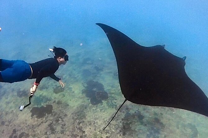 Private All Inclusive Nusa Penida Snorkeling and Tour - Manta Point snorkeling: the main reason to come