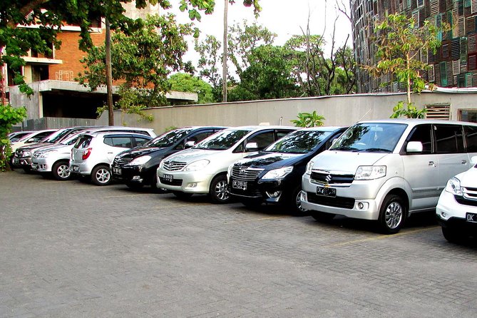 Private Arrival Transfer: Denpasar International Airport to Nusa Dua Area - First Contact at Denpasar: Getting Past the Crowd Fast