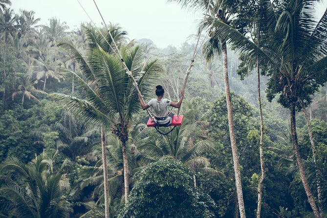 Private Bali Car Charter with Driver up to 6 People - Private car, real freedom: what the day feels like