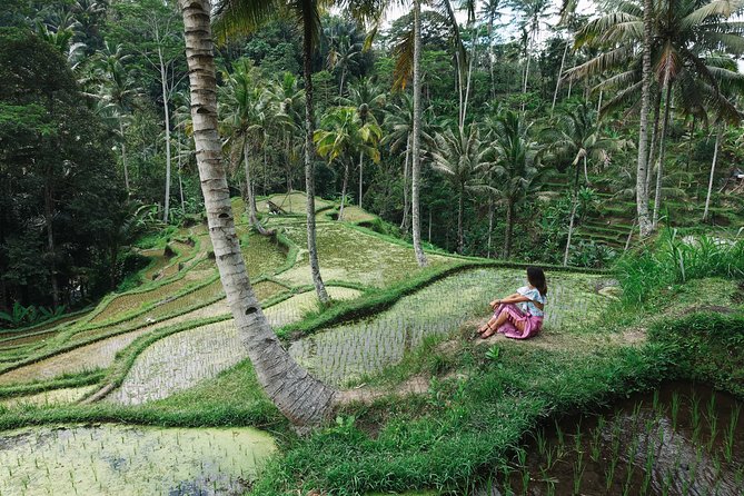 Private Bali Car Charter with Driver up to 6 People - Included vs not included: what you’re actually paying for