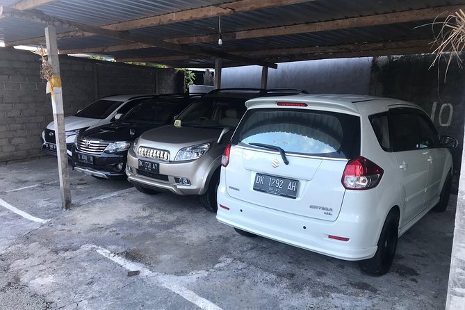 Private Bali Car Charter with Driver up to 6 People - Where this charter shines (and where it doesn’t)