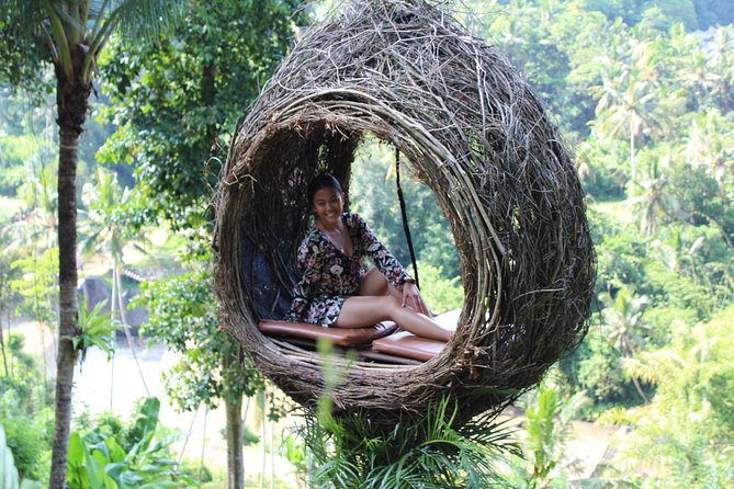 Private Bali Car Charter with Driver up to 6 People - The money math: why $69.26 per group can work